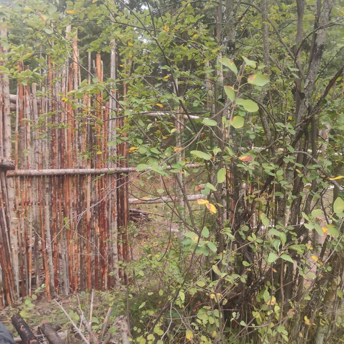 [Thumbnail for IMG_20260907_164201.jpg]