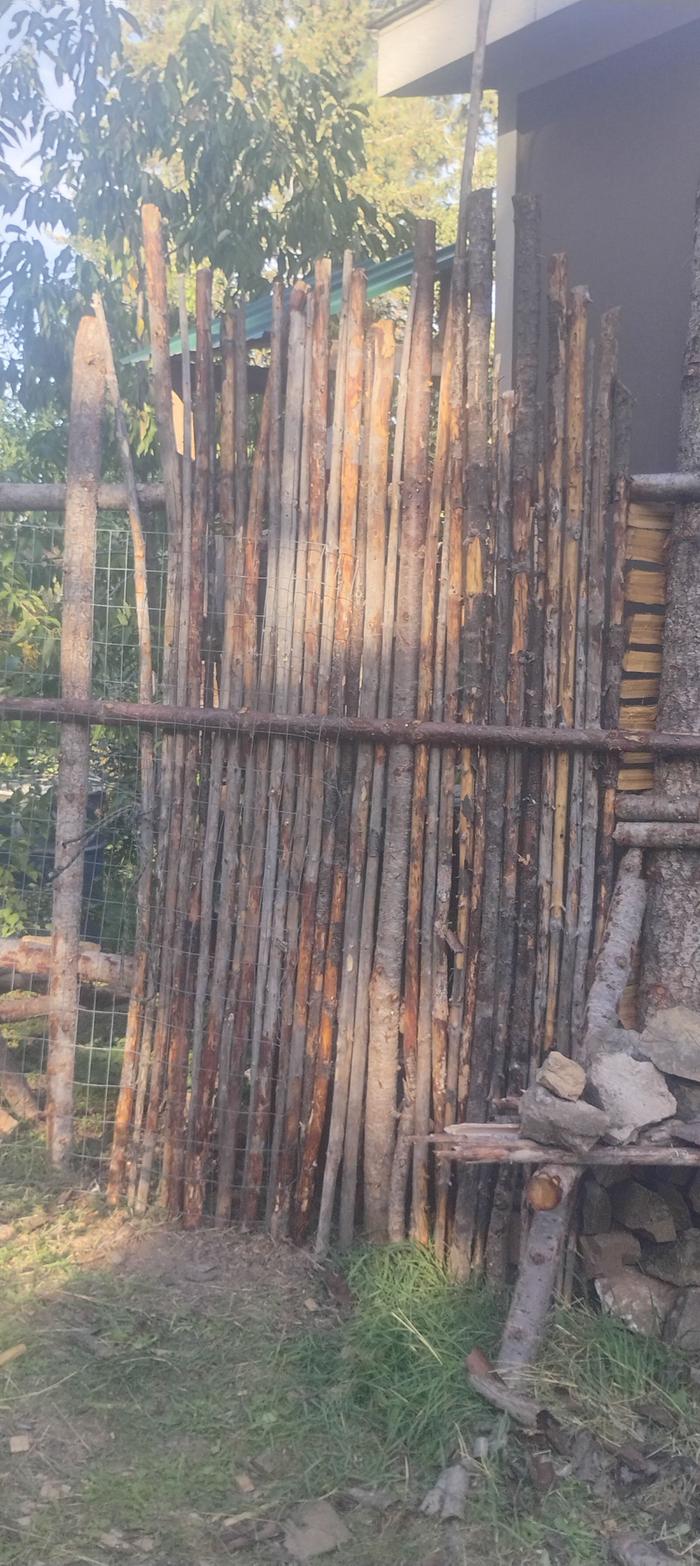 Some new junkpoles at basecamp