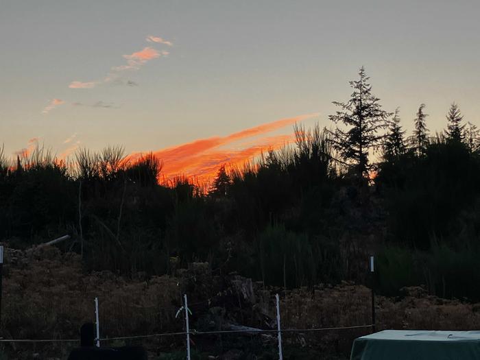 [Thumbnail for Sunset_Farm_Aug2026.jpeg]