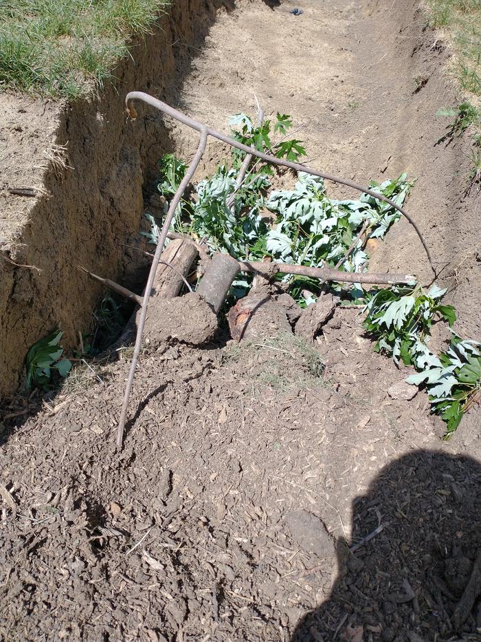This was a shallow part that led to the rabbit pen but it shows the layers of logs, then branches and lastly mulch.