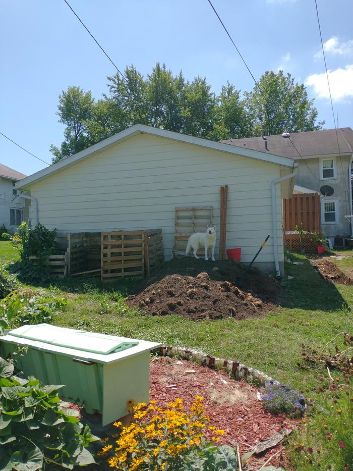 From when we first strated digging, There was alot of dirt, I ended up mixing it with compost and adding it to raised beds. Wish I had built the beds first and then added it directly to them so we didnt have to move the pile twice!
