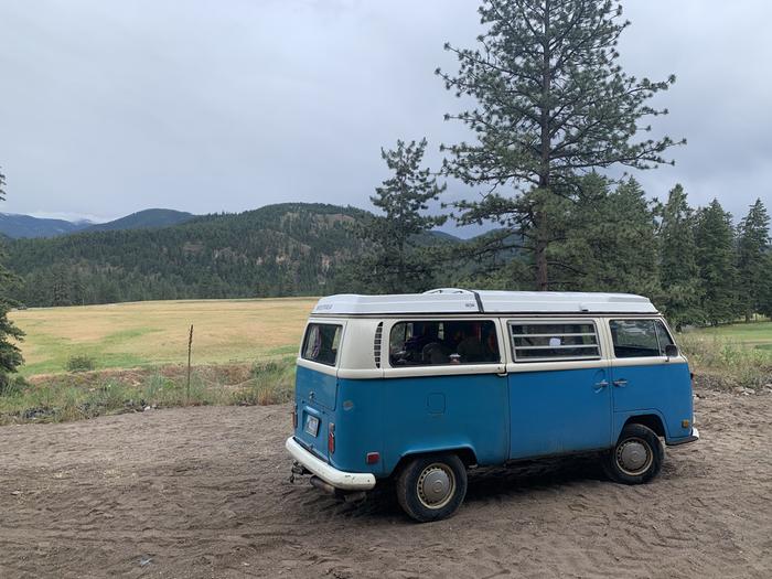 Ollie my 1971 volkswagen