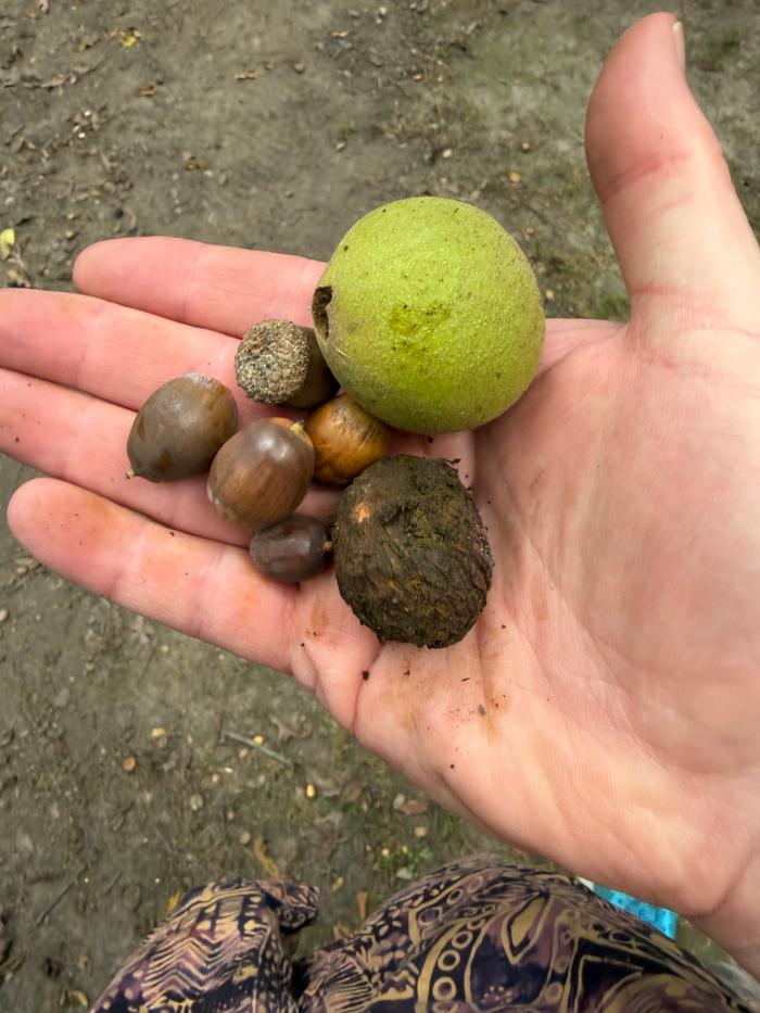 Nuts!