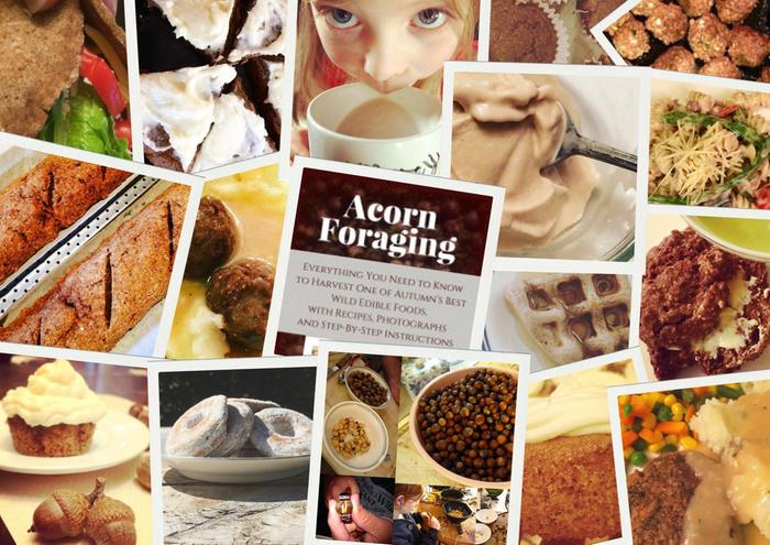 [Thumbnail for acorn-foraging-collage.jpg]