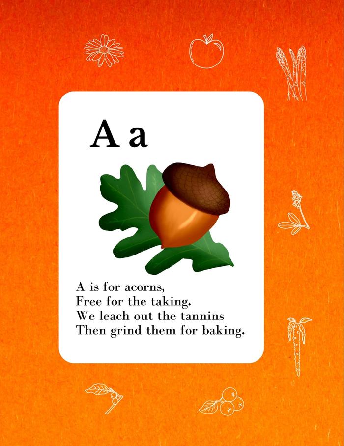 [Thumbnail for A-is-for-Acorns(1).jpg]