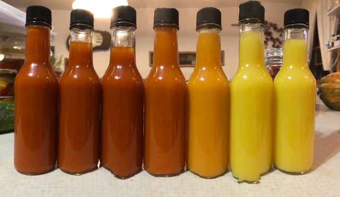 [Thumbnail for hotSauces.JPG]