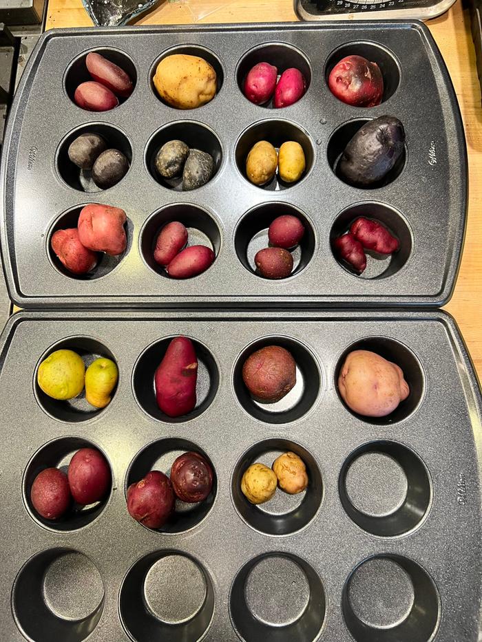trying tubers from each TPS variety one year