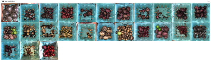 2021 - first TPS harvest