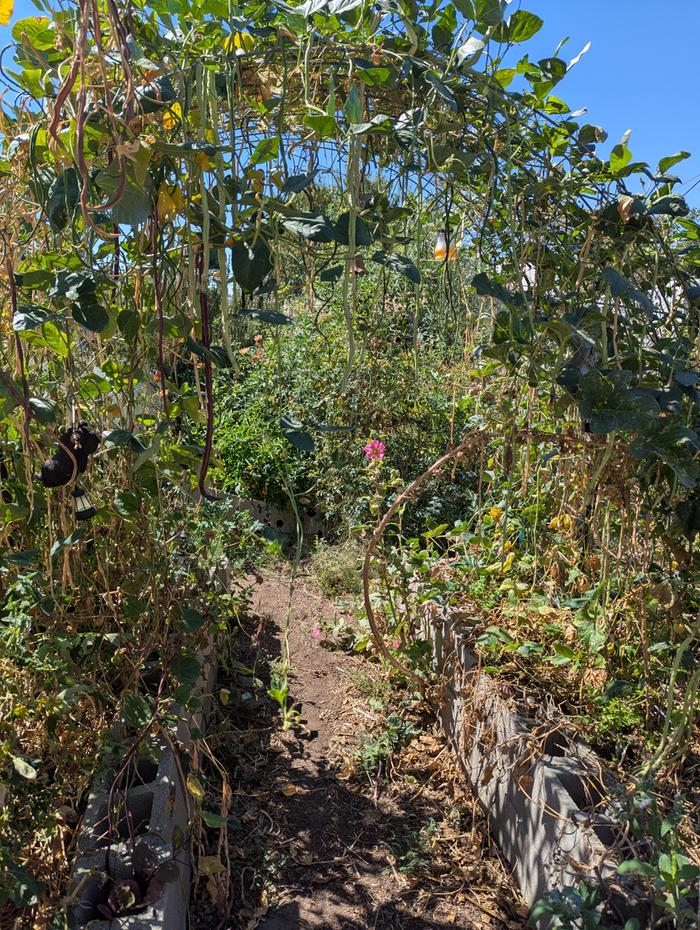 end of bean season 