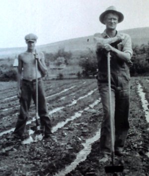 flood irrigation — low tech
