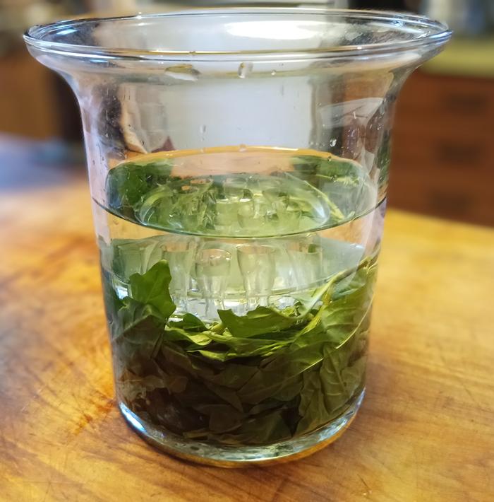indigo lwaves submerged in water with vinegar