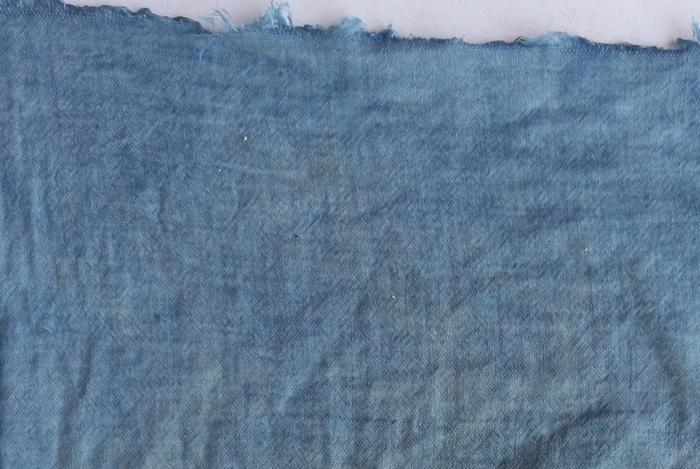 dyers knotweed on muslin