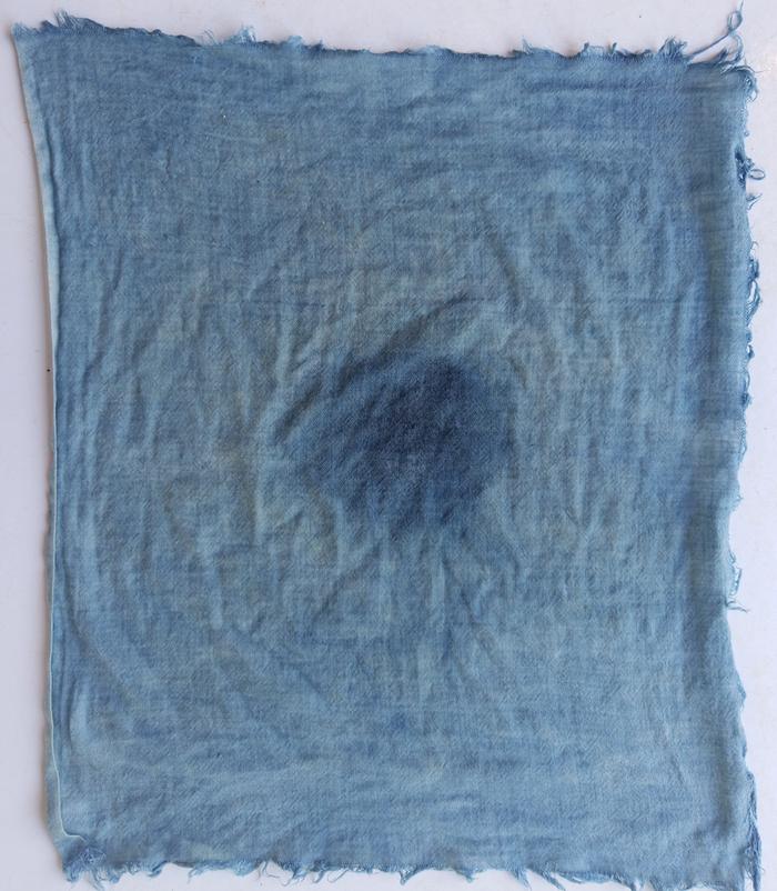 dyers knotweed on muslin