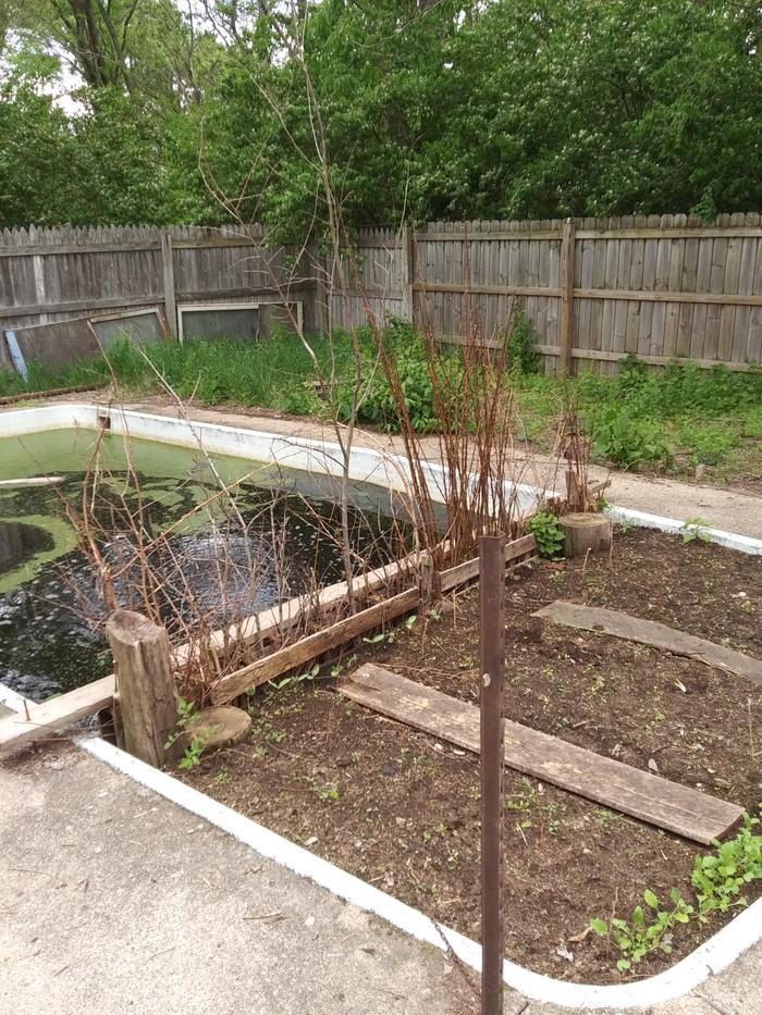 Starting to grow