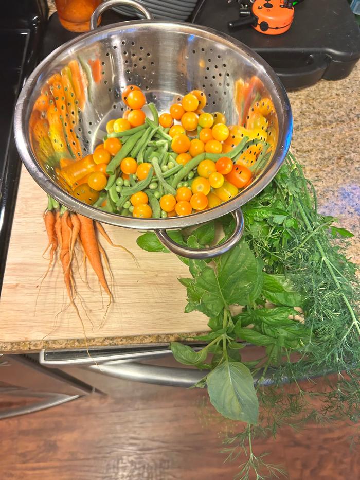 Garden haul