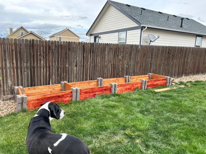 Raised beds