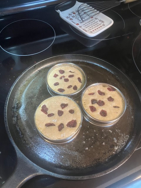 [Thumbnail for Sourdough-Discard-Raisin-Crumpets.jpeg]