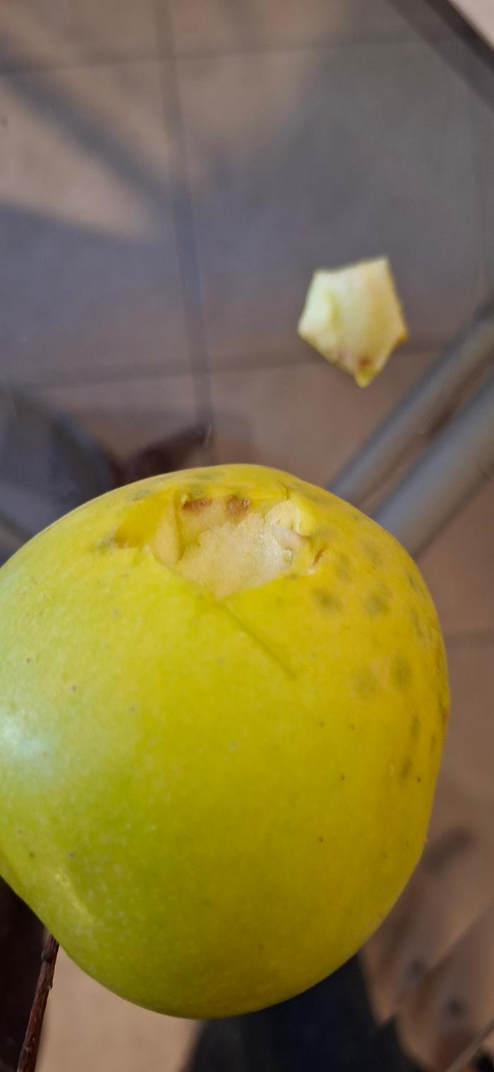 Apple inside