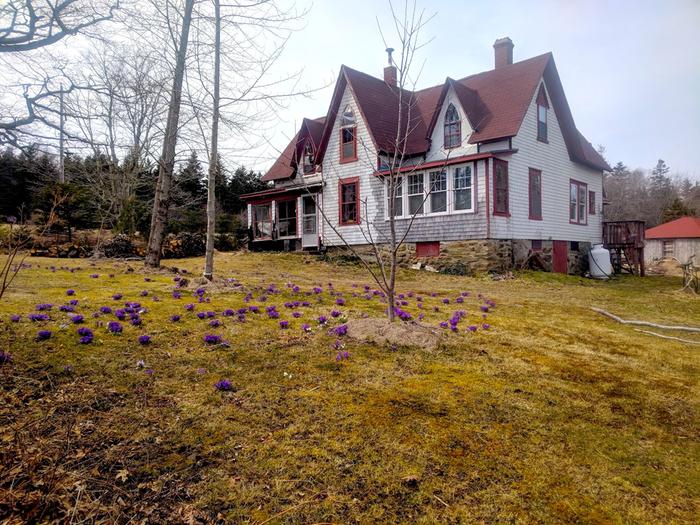 The farmhouse at Abijah’s Mill, surrounded by mature trees and seasonal flowers.