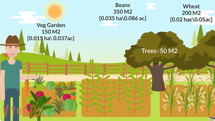 [Thumbnail for 750m-garden-modified.jpg]