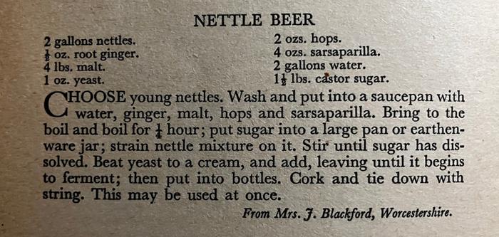 [Thumbnail for Nettle_Beer.jpg]
