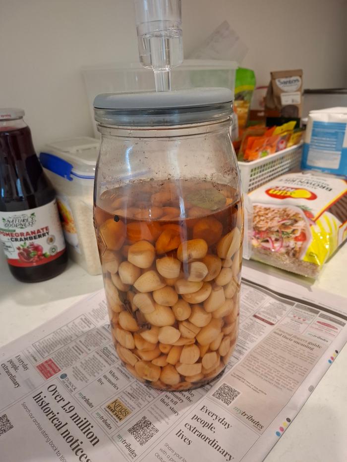 Lacto fermented garlic