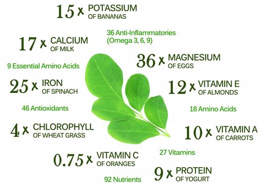 [Thumbnail for Moringa-Nutrients-main-image-1024x731.jpg]