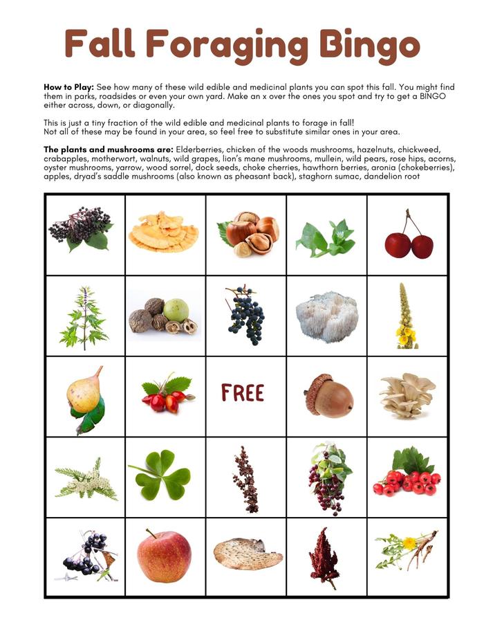 [Thumbnail for fall-foraging-bingo.jpg]