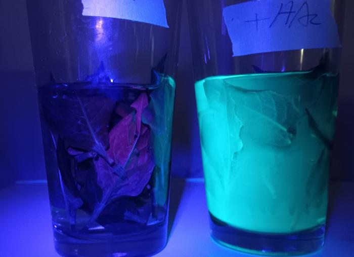 Soaking young leaves in tap water vs pH lowered with vinegar 