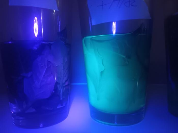 Soaking young leaves in tap water vs pH lowered with vinegar 