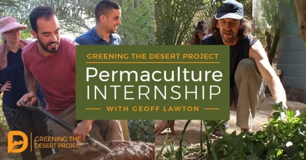 [Thumbnail for GTD-Internship-Nov-2026.jpg]