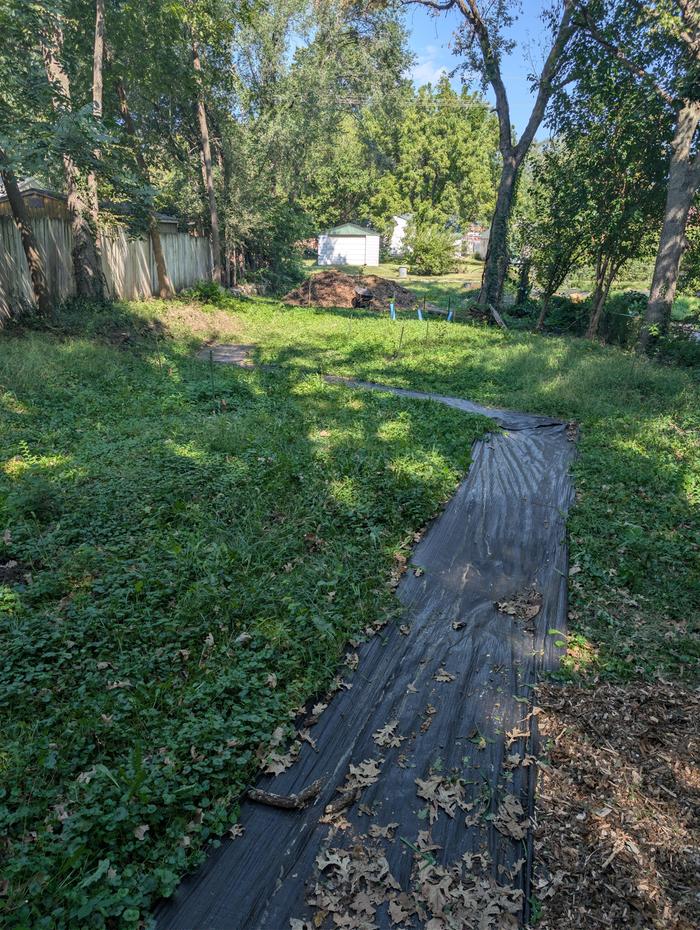 Middle of lot