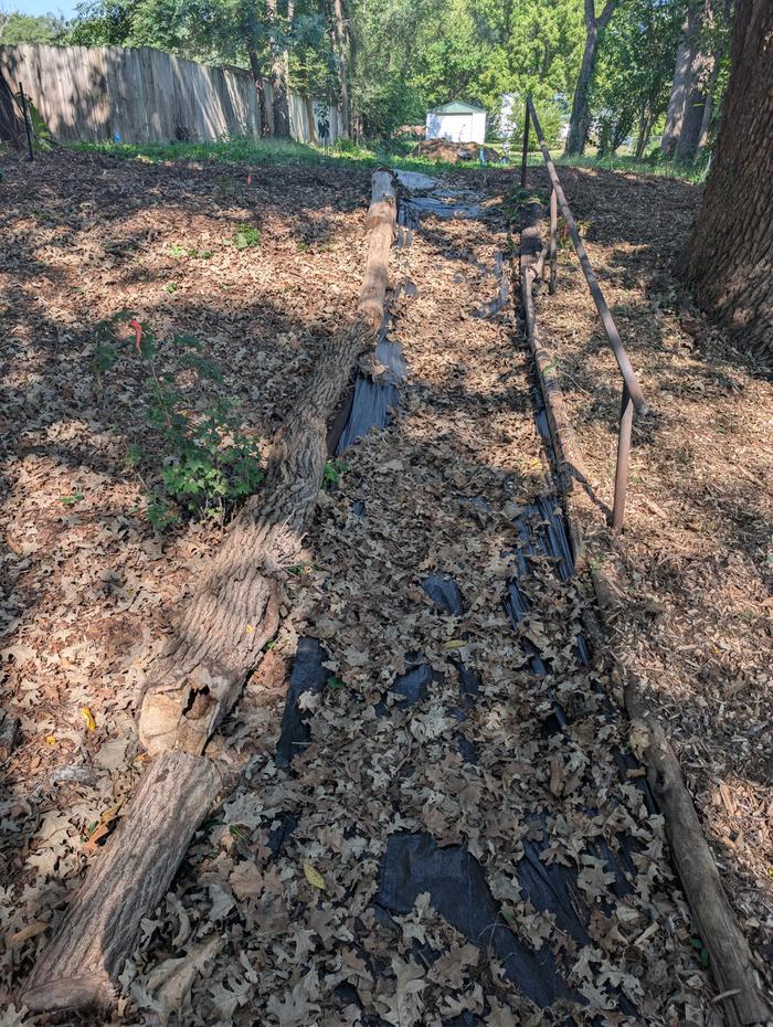 front entrance path