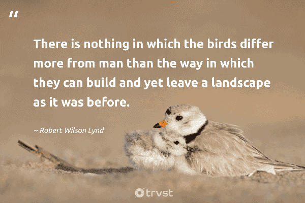 wise observation
