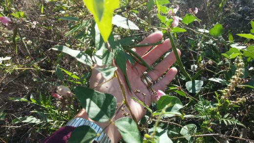 [Thumbnail for 20140913_172935.jpg]