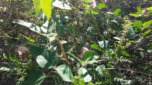 [Thumbnail for 20140913_172929.jpg]