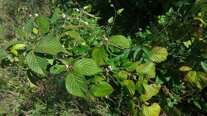 [Thumbnail for 20140913_173822.jpg]