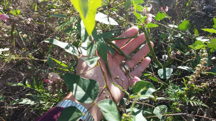 [Thumbnail for 20140913_172935.jpg]