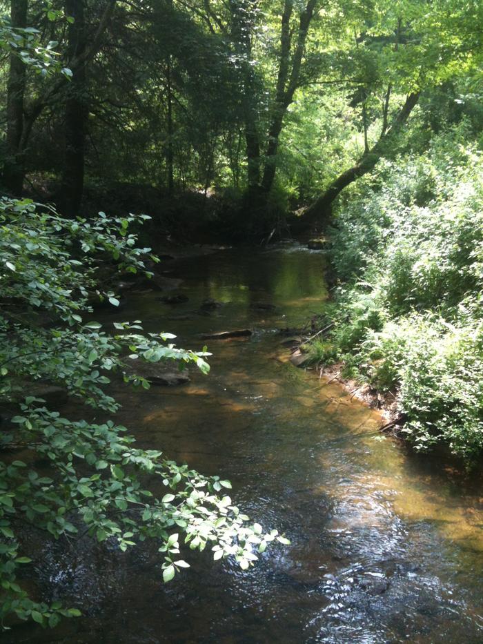 I am have been living on this beautiful 25 acre property for a year by myself