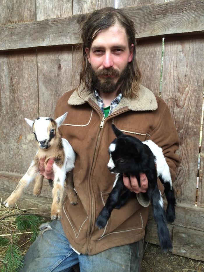 nigerian dwarf goats