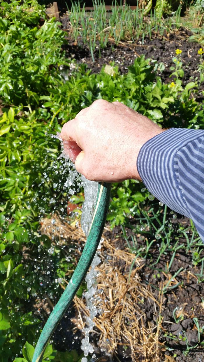 A soaker can be achieved by cupping the hand over the hose