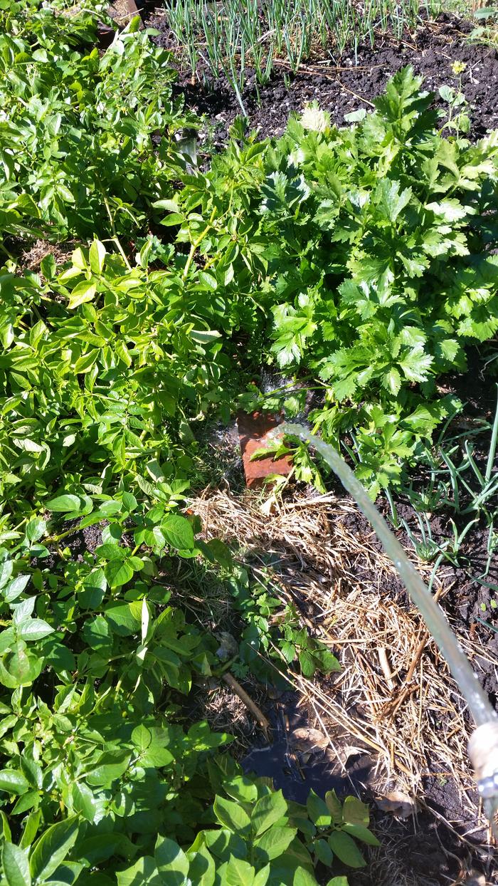 a brick absorb the erosive power of a strong hose stream