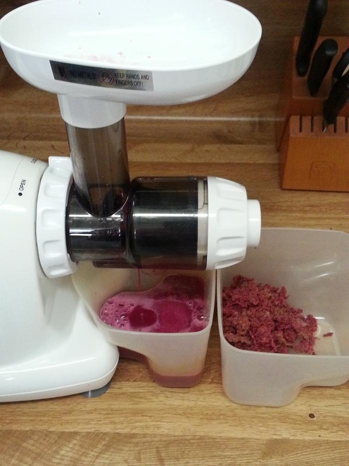 [Thumbnail for Prickly-Pear-Juicing.jpg]