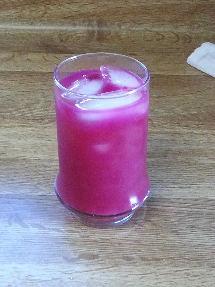 [Thumbnail for Prickly-Pear-Cactus-Cooler.jpg]
