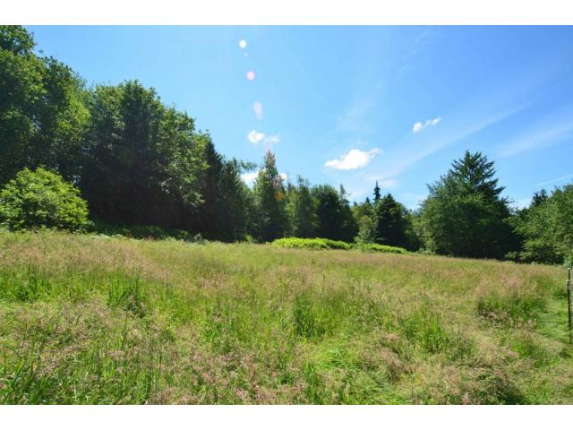 [Thumbnail for 66-acres-pasture.jpg]