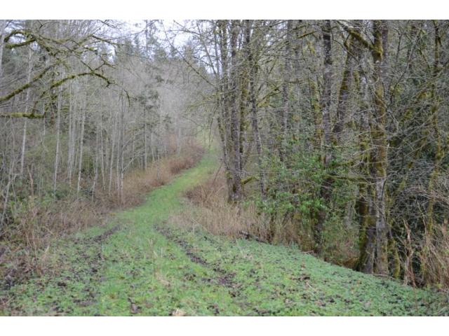 [Thumbnail for 66-acres-road-to-back-40.jpg]