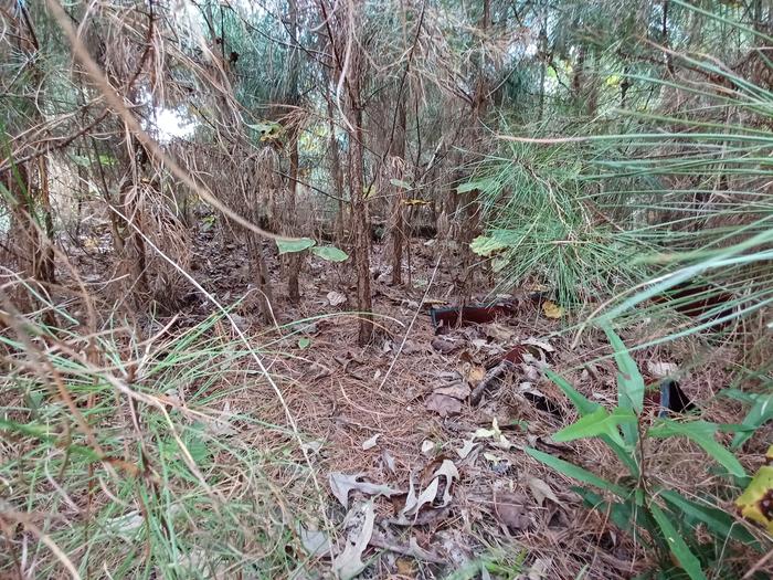 [Thumbnail for 20251102_142457.jpg]