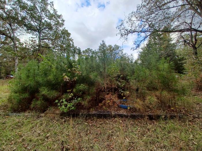 [Thumbnail for 20251102_142443.jpg]