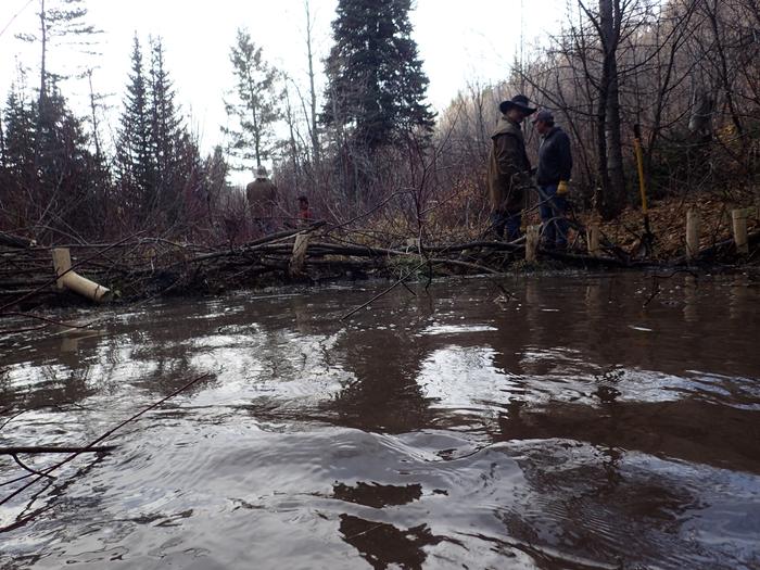 This stream is perennial at this elevation, but dries up in summer