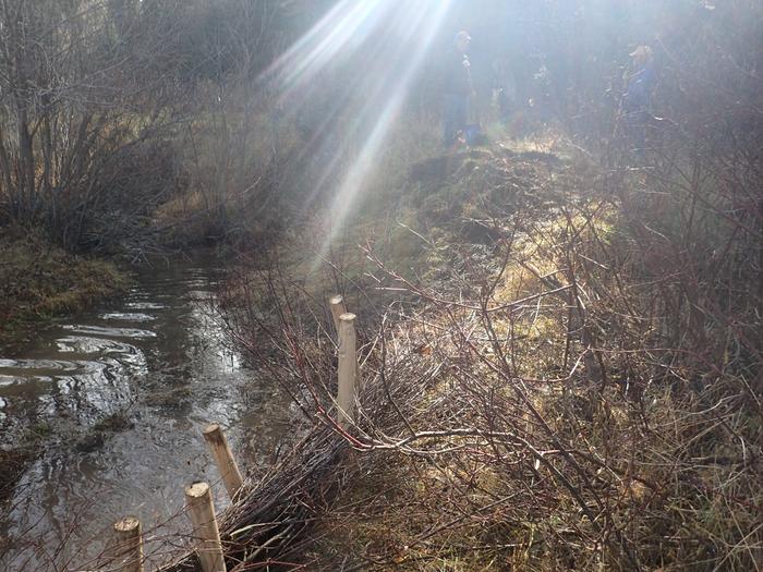 Jay's forest allotment